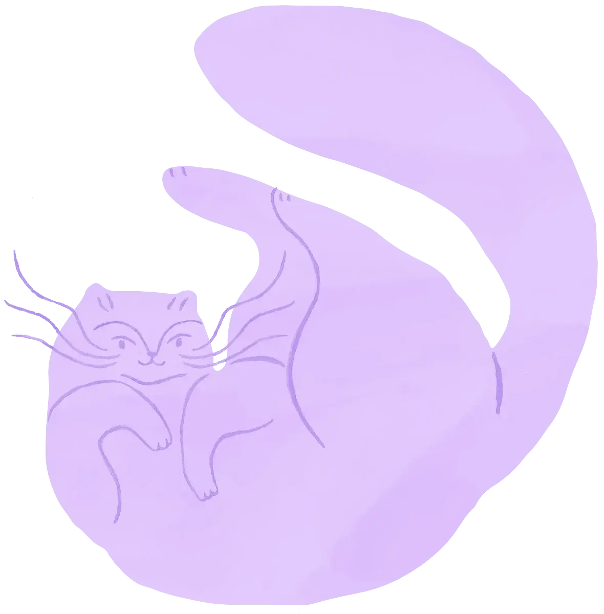 Curled up cat