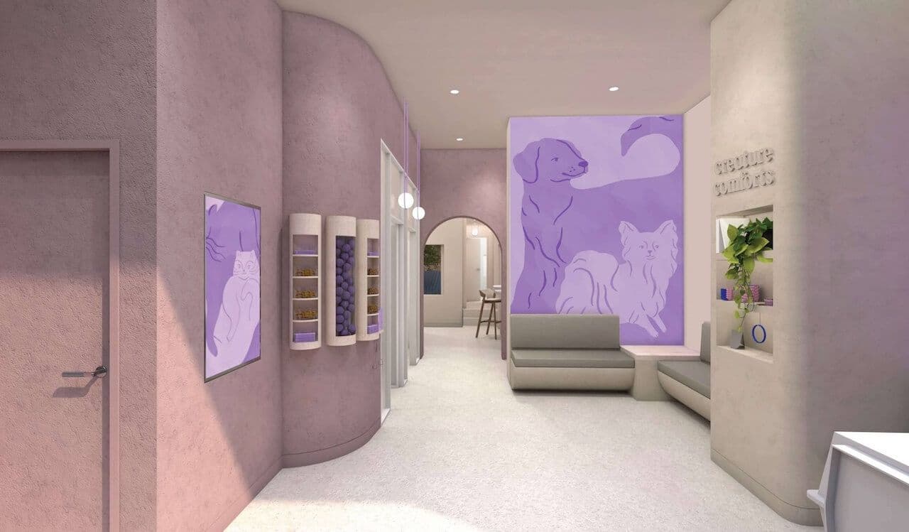 An image of the interior of a Creature Comforts clinic